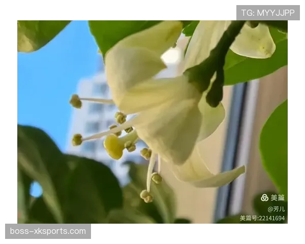 禁区外犯规判罚规则与常见误区解读